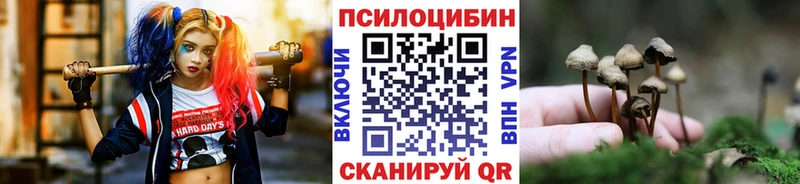 Галлюциногенные грибы GOLDEN TEACHER Миллерово
